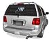 Tampa Bay Devil Rays Window Film