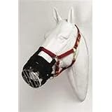 Cribbing Muzzle Horse