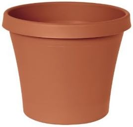 Poly Classic Pot (Pack of 10)