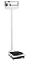 HoMedics SC-650 Professional Doctor Balance Beam Scale