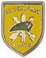 Special Forces Vietnam Small Hat Pin