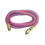 21u8oxsUysL. SL160  60 , 3/8 ID x 1/4 NPT, M x F Whip Hose  Category: Air Hoses