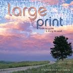 Large Print 2009 Wall Calendar