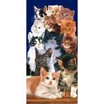 Review Copa  / Kitty Litter Terry Velour Deluxe Beach/Bath Towel