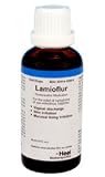 Heel Lamioflur 50 ml liquid