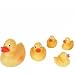 Rubber Duck Family