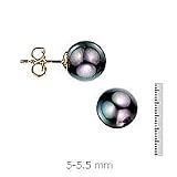 14k Gold, 5-5.5mm Cultured Pearl Black stud Earring
