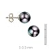 14k Gold, 5-5.5mm Cultured Pearl Black stud Earring