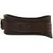 Altus Fabric Lifting Belt