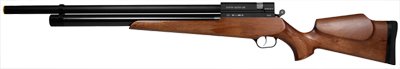 Evanix AR6 / AR4 air rifle