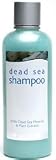 Dead Sea Mineral Shampoo by Jericho Cosmetics - 26.4 oz (Normal Hair)