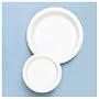 Plastic Dinnerware, Plates, 7" Diameter, White, 125 per Pack (TBL7644) Category: Plastic Plates