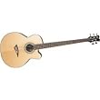 Dean Acoustic-Electric Bass Cutaway 5 String Satin Finish