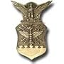 Air Force Door Knocker - Polished Brass