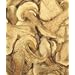 Porcini Mushrooms - Grade Super Premium AA 16 oz.