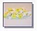 Egg Nog Salt Water Taffy - 1/2 lb