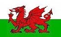 5FT X 3FT WALES WELSH DRAGON NATIONAL FLAG