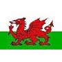 5FT X 3FT WALES WELSH DRAGON NATIONAL FLAG