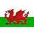 5FT X 3FT WALES WELSH DRAGON NATIONAL FLAG