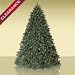 On Clearance! 4.5 Fraser Fir Artificial Christmas Trees Lit with Multi Colored Lights PLUS eligible for Free Shipping! On Clearance! 4.5 Fraser Fir Artificial Christmas Trees Lit with Multi Colored Lights PLUS eligible for Free Shipping!