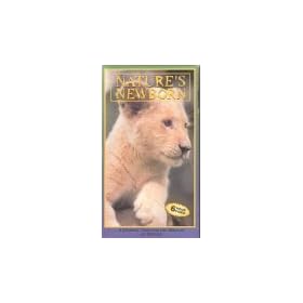 Nature's Newborn: A Journey Through the Miracle of Nature