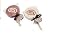 Seife Lollipop
