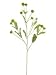 Faux 26 Clover Spray Green (Pack of 12)