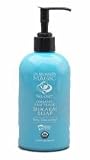 Dr. Bronner's Organic Shikakai Baby Hand Soap