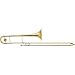 42 Professional Standard Tenor Trombone LT42G Lightweight Slide, Gold Brass Bell