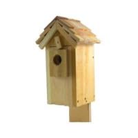 Shake Shingle Bluebird by Songbird Essentials