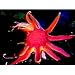 The Biology of Seashores (VHS)