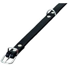 Karlie 02024 Rondo Halsband