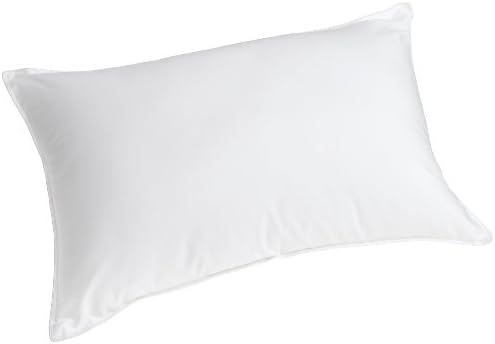 Slumberfresh Polyester Bed Pillow, Standard, sleep number airfit pillow