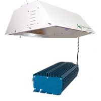 Digital Large Super Light System 1000 w