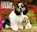 cocker_spaniel0cocker spaniel - For the Love of Cocker Spaniels 2010 Deluxe