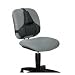 Electronics : Pro Series Back Support