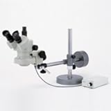 �J�[�g�� �X�^���h�� �Y�[�����̌����� DSZT-44UA-F 10�`44�{