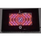 500w Blackstar Ultra Violet LED Grow Light Cree 3 watt LED's
