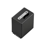 NPFH-100 Rechargeable Camcorder Battery for Sony NP-FH100 H Series InfoLithium Battery 4200mAh