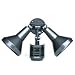 Motion Sensor Flood Light, Bronze