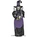 Electronics : 5FT - Witch Holding Globe wtih Wireless Microphone