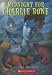 Search : Midnight for Charlie Bone (The Children of the Red King, Book 1)