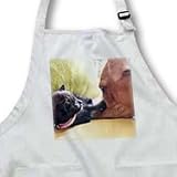VWPics Cats and Dogs - 1 month old black kitten playing with a dog - Aprons