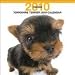 yorkshire_terrier0yorkshire terrier - Yorkshire Terrier 2010 Wall Calendar