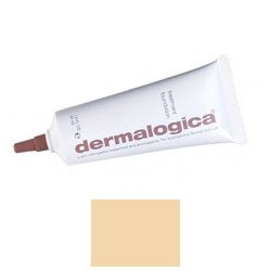 Dermalogica Treatment Foundation 1G