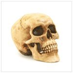 Grinning Realistic Replica Human Skull Home Statue 