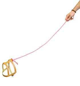 Childrens Toyshop  Toys : Magic Tricks | Invisible Dog Lead