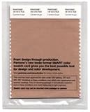 Pantone 4x8 Swatch 15-3910 Languid Lavender