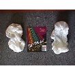 Sh-wipe Terry Cloth Cover for the Sh-mop - 2 Covers