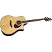 Breedlove Atlas Stage D25/SR Acoustic Electric Guitar